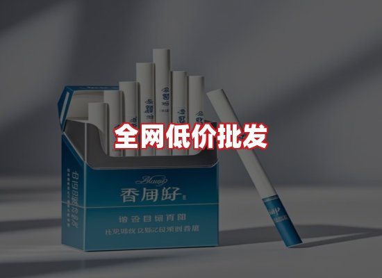 专业团队